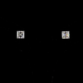 White gold Diamond Studs · 3.14 ct