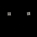 White gold Diamond Studs · 2.56 ct