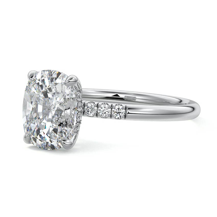 Platinum Cushion Diamond Hidden Halo Solitaire with Round Side Accents