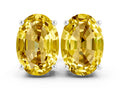 Oval Cut Yellow Sapphire Stud Earrings in Silver with Basket Setting
