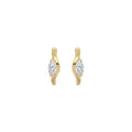 Yellow gold Diamond Earrings · 0.63 ctw