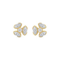 Yellow gold Diamond Earrings · 2.5 ctw
