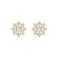 Yellow gold Diamond Earrings · 2.6 ctw