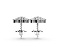 Silver Cluster Round Diamond Stud Earrings